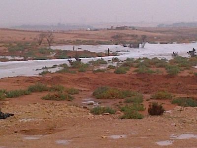 ‏مهرةٍ تستدرج الغيم و تصيده
ترسم نجوم السما شعر و قلايد

حلمها تكبر تبي تكتب قصيده
لين كبرت و انكتب فيها قصايد