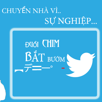anVT512's profile picture. #coder and #photographer in #TNUS