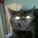 Mel Harrison - @mellymoorun - Twitter