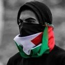 hashim arab (@0592575837) Twitter
