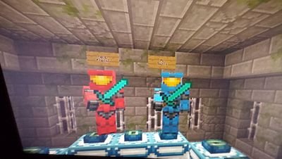 Hi I'm Reece A Competitive CoD Player And A Minecraft Pro Wanna Join My Mianite Server Message Me and I'll  invite you