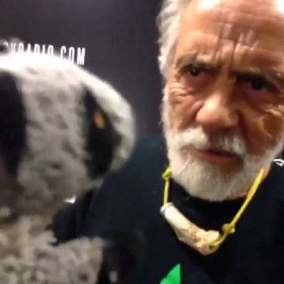 The daily happenings & hijinks of Raccoon & Meowzers broadcast live from MeowzTown, USA. #MeowzTown Vine@Bogart77 #LateNightMeowzers Vine@DocBogart 
@BogartLA