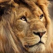 enthusiasm, skill and strength....the life rewards you.....
