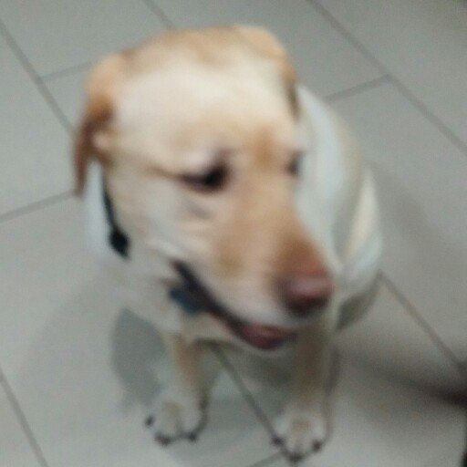 jkirk56's profile picture. 