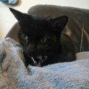 Holly Costello - @holly_maisy - Twitter