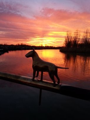 Nb Taiga, i been boating since 1996, dreaming of living aboard someday. retired dog walker, owned by Luna the  bull terrier! ;-)