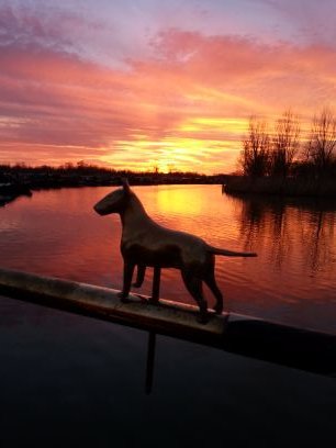 Nb Taiga, i been boating since 1996, dreaming of living aboard someday. self employed dog walker, owned by Vinnie the  bull terrier! ;-)