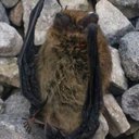 Fiona Meyer - @meyer_fiona - Twitter