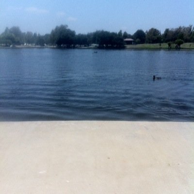 vibeswthme's profile picture. 