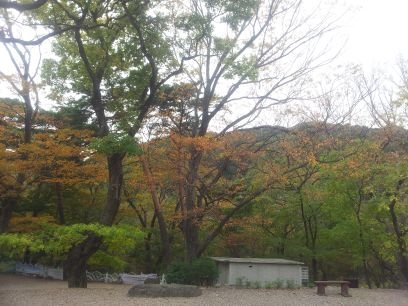 omir1233's profile picture. 이재명 안티는 다 차단합니다.