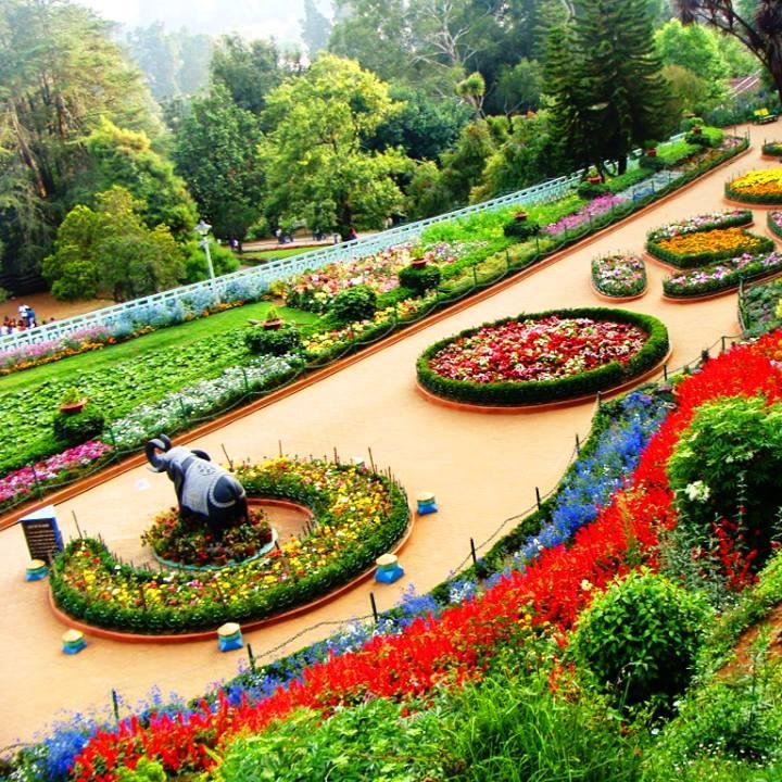 One of the best hotels in Ooty - Award-winning hotelmountviewooty Resort and Cottages is set on 
Ettines Road, Ooty, Rose Garden along Nilgiri  and 15 minutes f