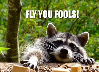 manic_bassist's profile picture. 