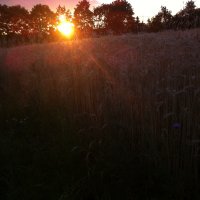 silka (@silka) 's Twitter Profile