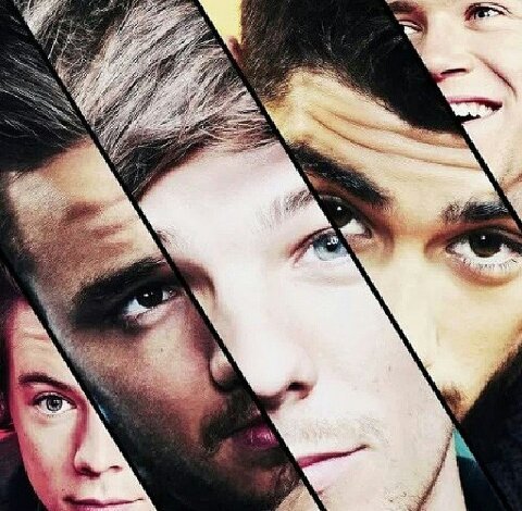 Love Music, my horses, my friends. Directioner ♡ Niall-Girl ♡ Also known as Crazy Unicorn.              4 Years *-* I can't believe ♥