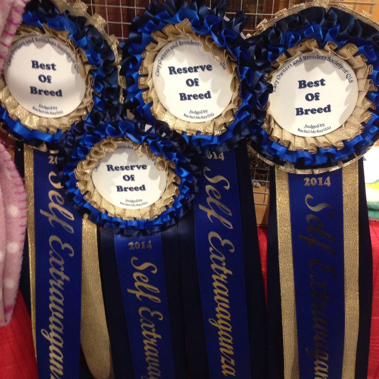 statesman7777's profile picture. Hi every one im puppylover_04's mum :)