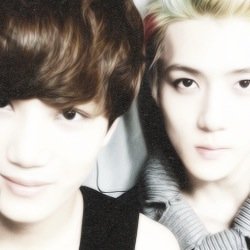daily dose of sekai