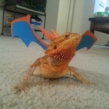 [new to twitter] I loves the minecrafts! :D
