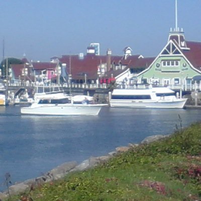 dexy16370053's profile picture. Teacher in the United States