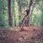 Imrevdlaar's profile image