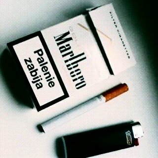 gsfytswjkh's profile picture. 