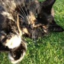 (((Val Foster))) - @BrummieGran - Twitter