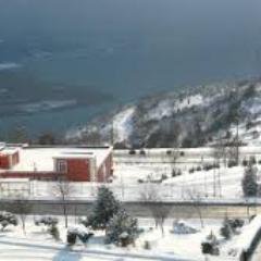 acemi_chatchi's profile picture. 