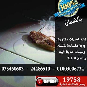 InfoGci's profile picture. اباده الحشرات |اباده الحشرات|اباده الحشرات|اباده الحشرات|01003006734لاباده الحشرات ... حشرات/اباده حشرات مكافحه حشرات/مقاومه الصراصير/القضاء على الصراصير/