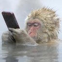 Chris Mang - @cmang77 - Twitter