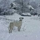 Donald McClure - @kd4occ - Twitter