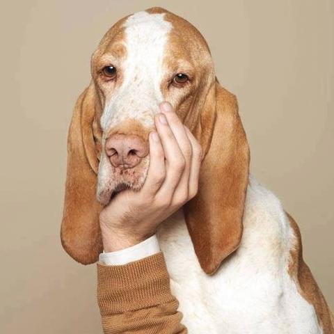 ProficioEats's profile picture. 