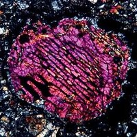 NHM Meteorites(@NHM_Meteorites) 's Twitter Profile Photo
