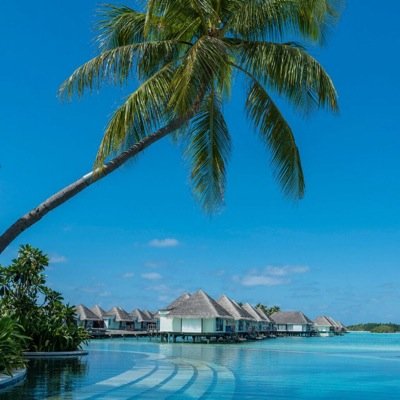 spllicer's profile picture. 