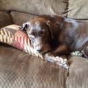 Mary Provo - @juke2014 - Twitter