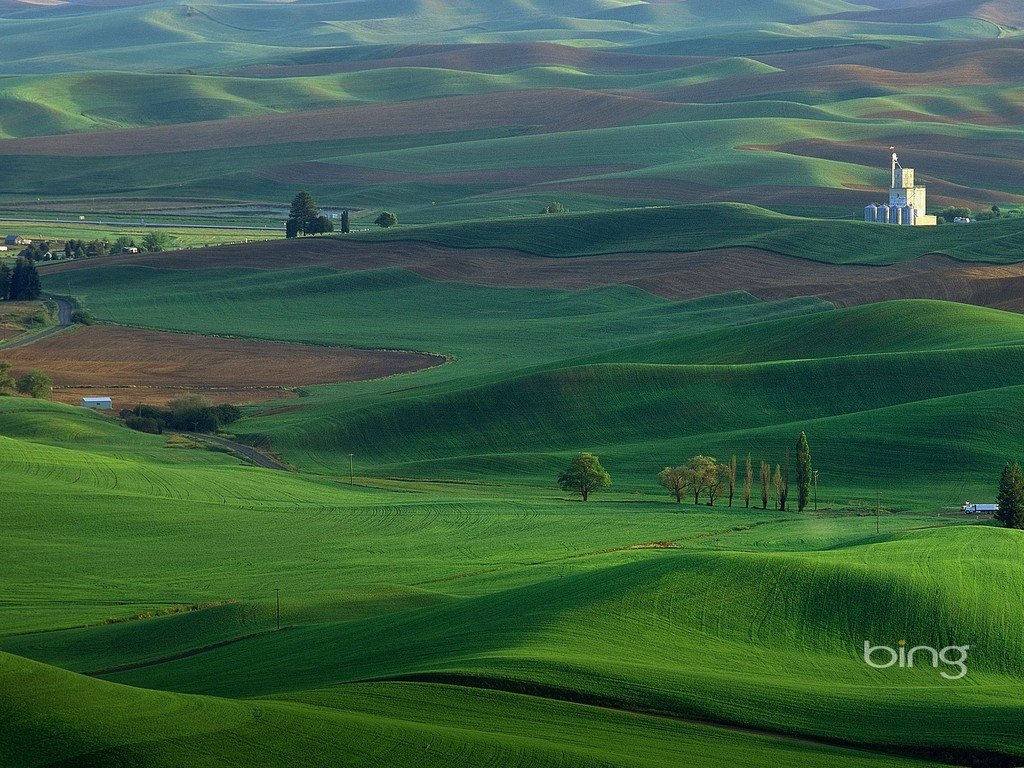 wswzzj's profile picture. 