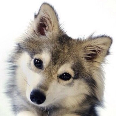 最近釣り始めました(◜௰◝)ライトショアがメインやってます！