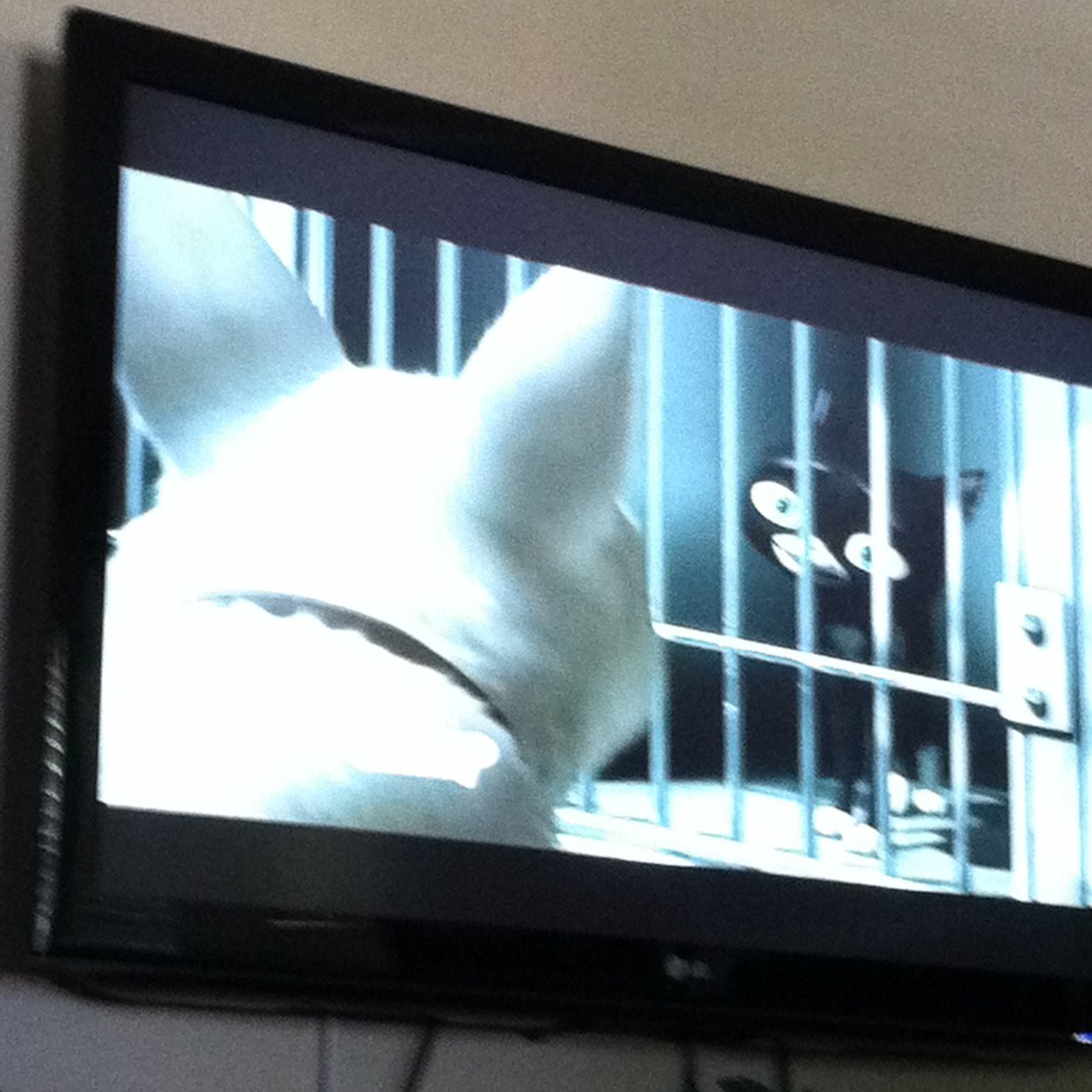 CeMaria1947's profile picture. Hi guys