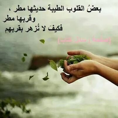 ‏عاشق للغروب