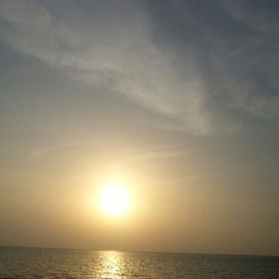 sabaamoudi's profile picture. One day I'll fly away...🕊🕊