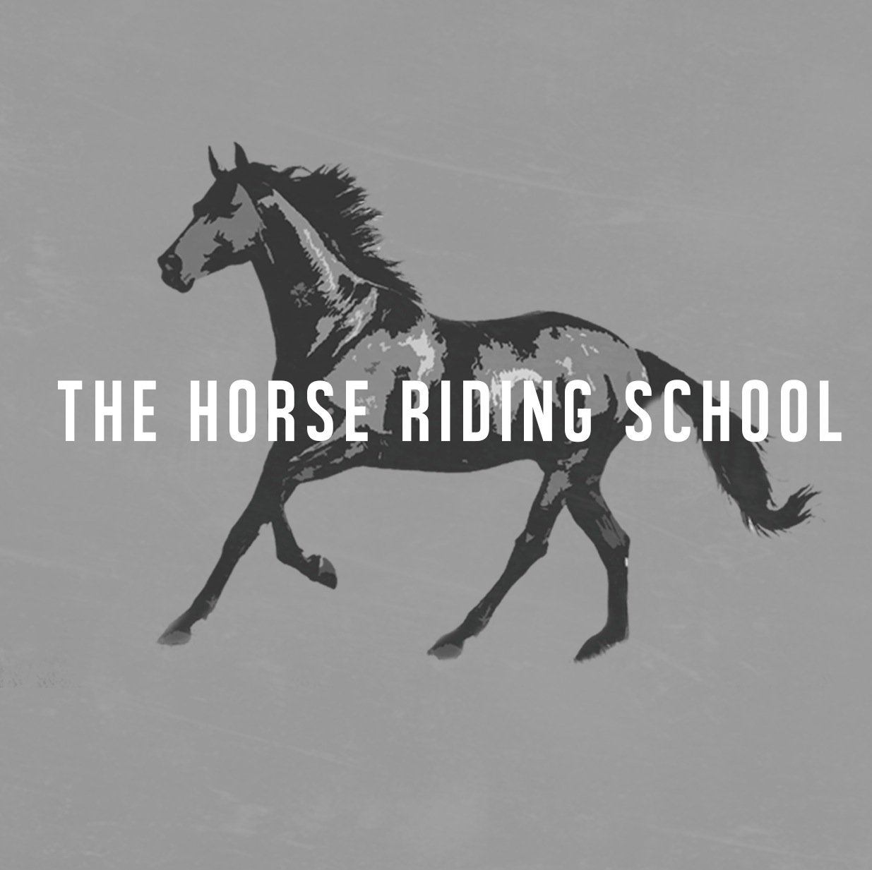 There is something special about the connection we share with our horses. For pros and beginners alike!