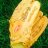 baseballtruths1's profile image
