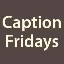 A new caption contest on a funny photo every Friday only on http://t.co/82eh0Tlw6I
