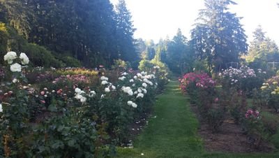 aaaarrrrrrraaa's profile picture. 