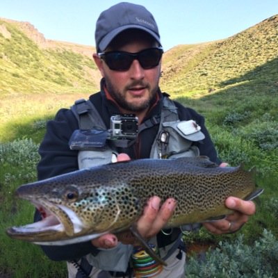 stefavit's profile picture. 