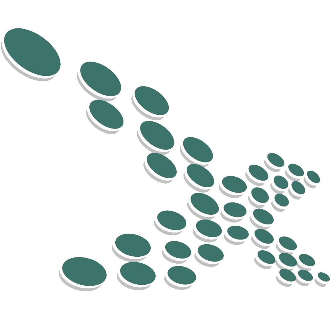 Riddhi_Webpixel's profile picture. Website Development - one stop solution