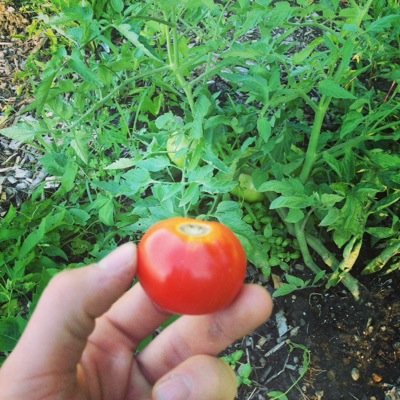 Building a more robust food system.