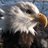 RaptorsSoar's profile image