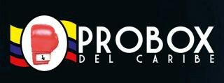 ProboxCaribe's profile picture. Entidad promotora de boxeo en el Caribe