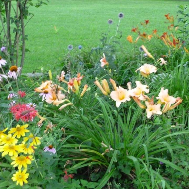 Growingmindspr1's profile picture. Teacher, writer, mother