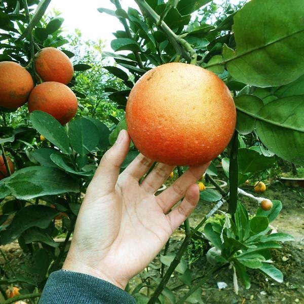 Văn phòng tuyển sinh Hà Nội. Chuyên trang tuyển sinh kenhtuyensinh24h là nơi cung cấp thông tin tuyển sinh, các thông báo tuyển sinh, nguyện vọng xét tuyển vào