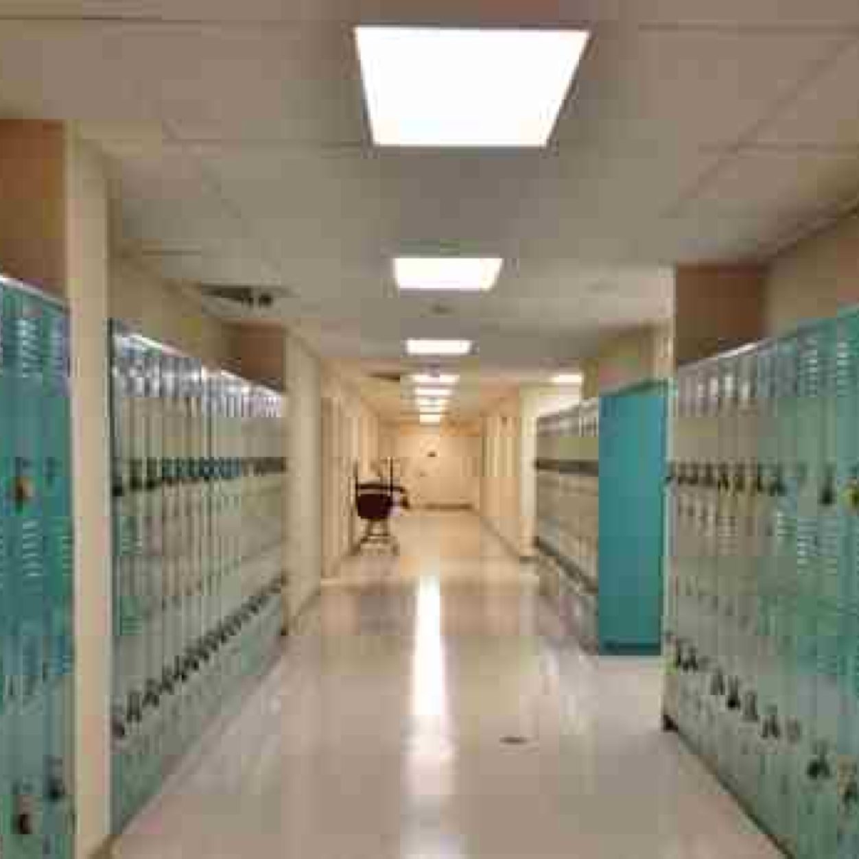 This is the high school were each stereotype thinks they run the school.